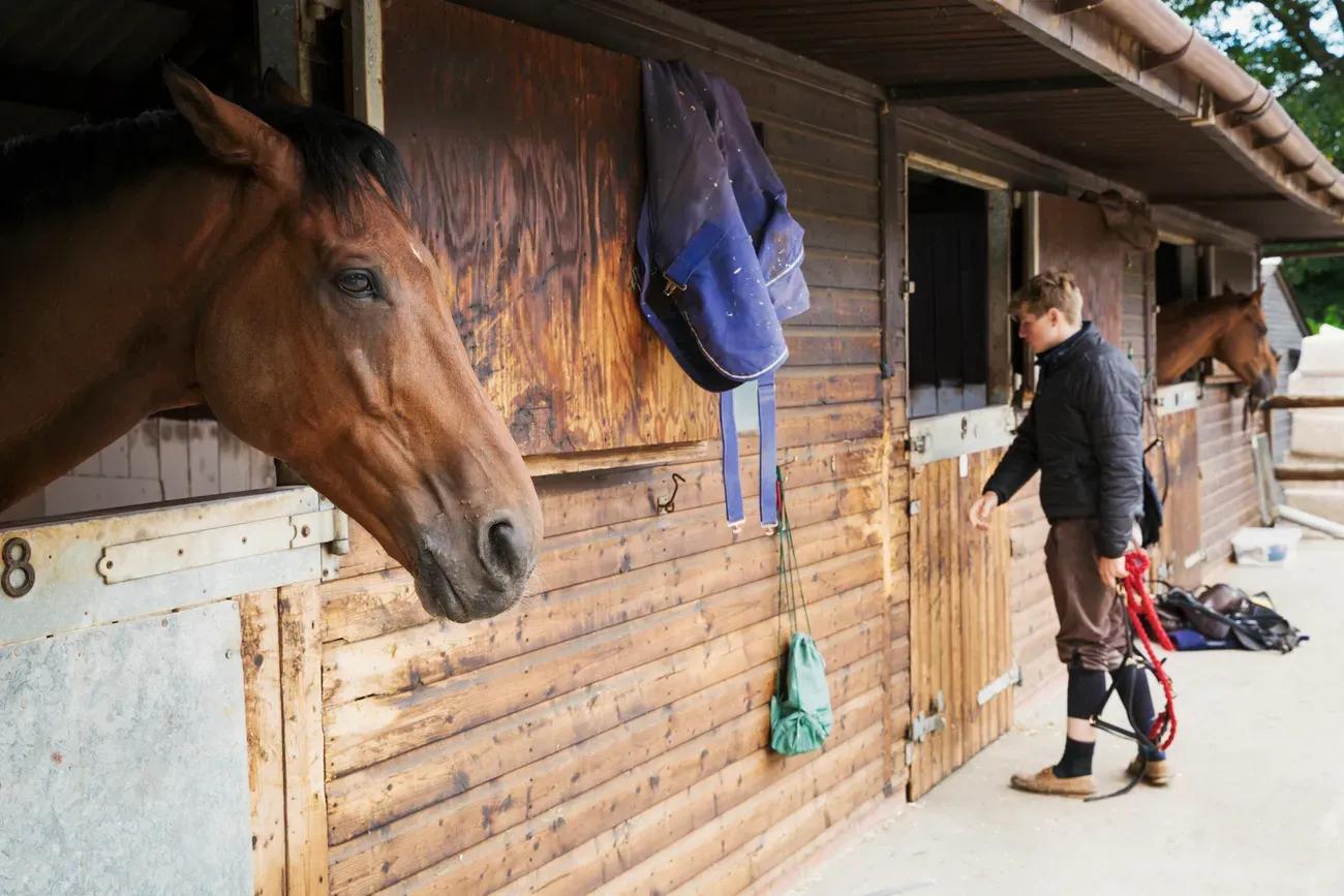 How Technology Is Changing the Way People Board Horses